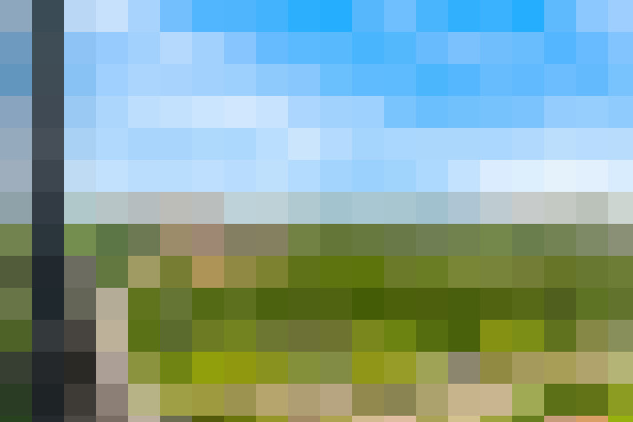 Image 24