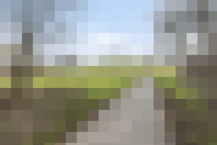 Image 14
