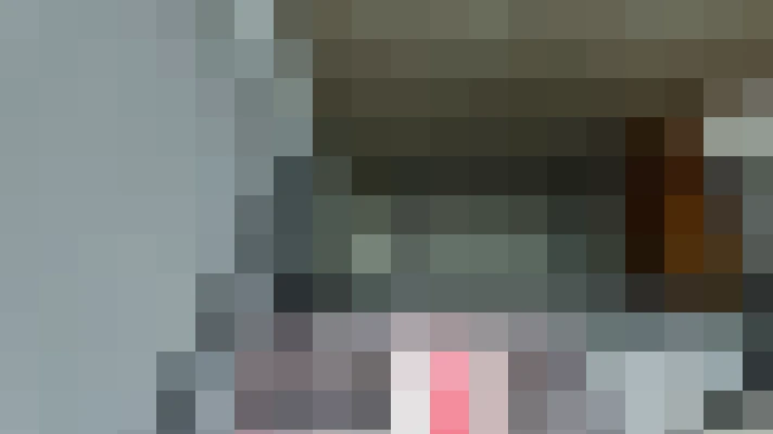 Image 20