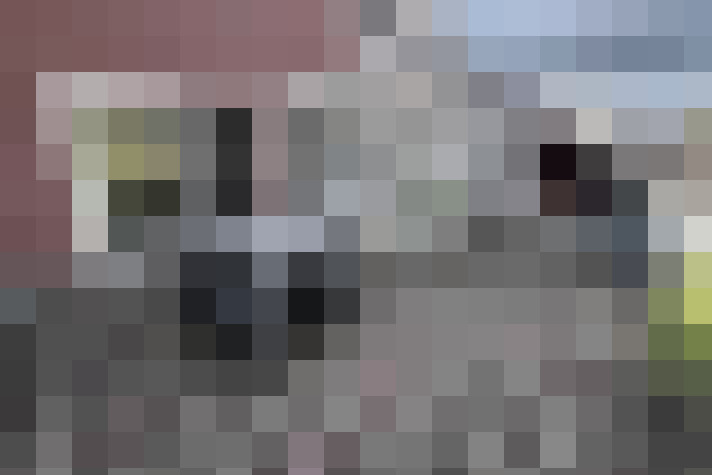 Image 13