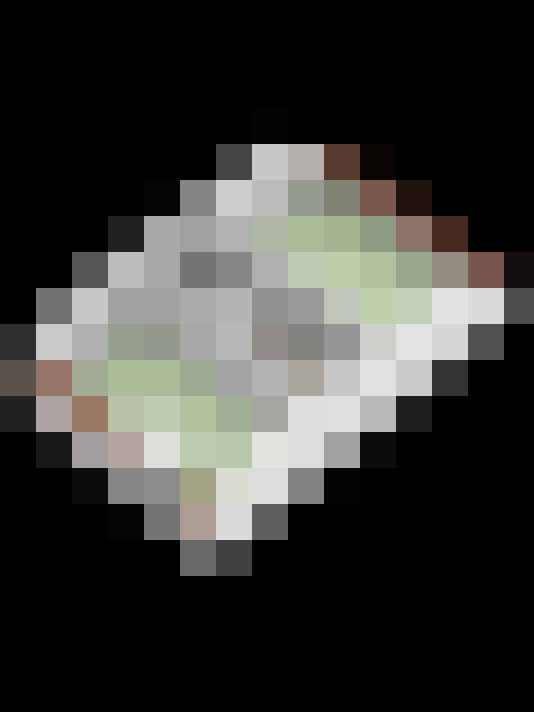 Image 32