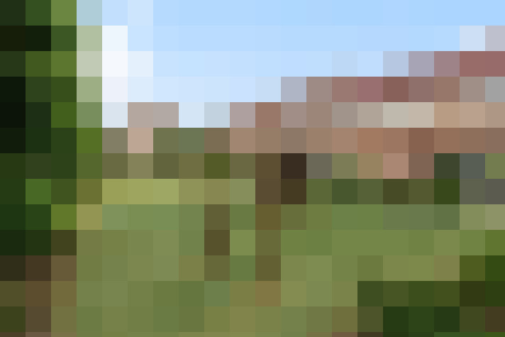 Image 24