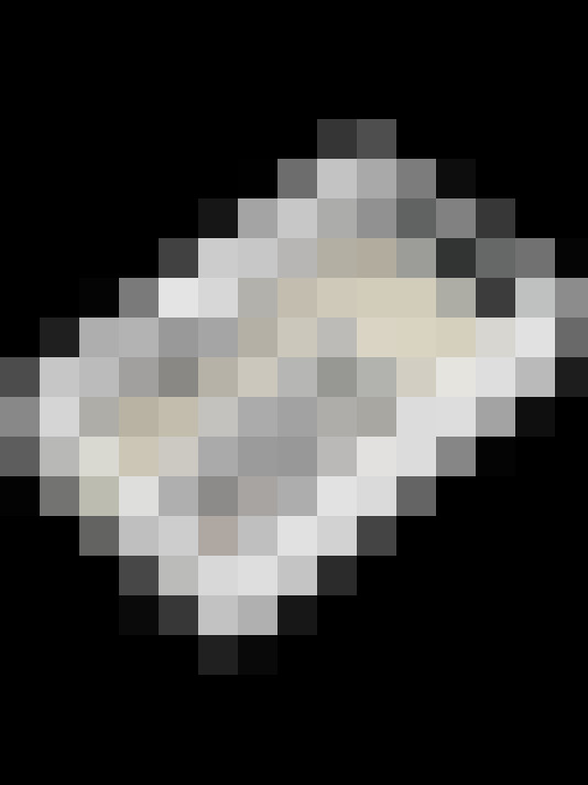 Image 31