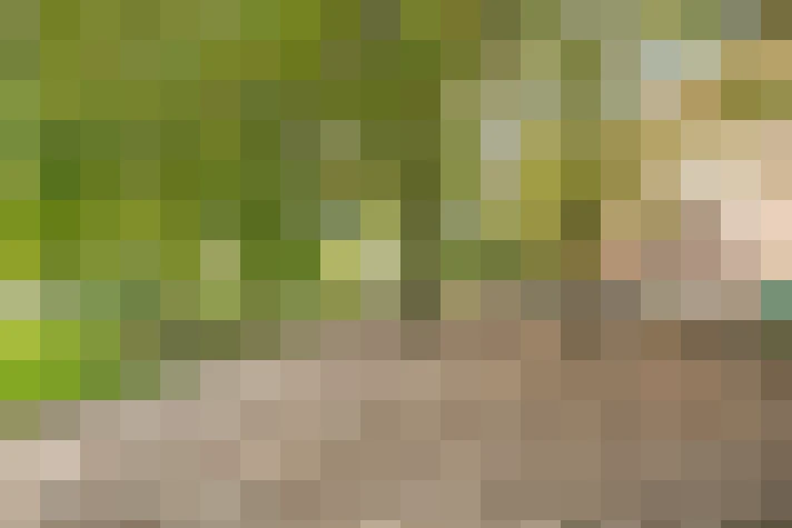 Image 32