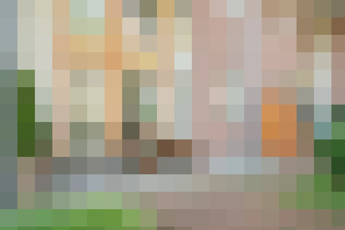 Image 28