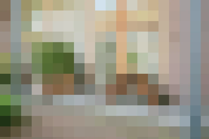 Image 29
