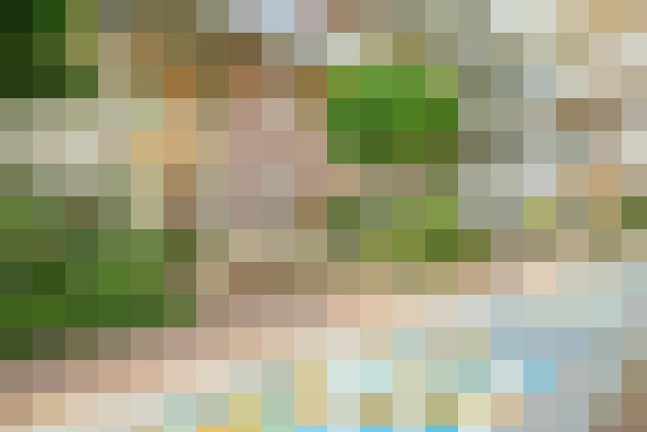 Image 27