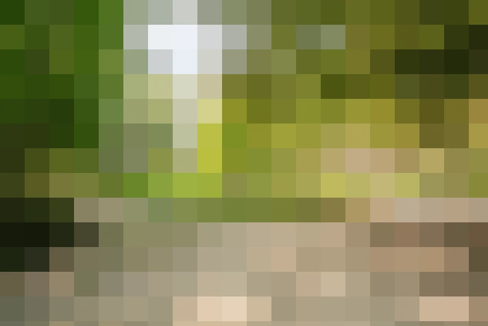 Image 31