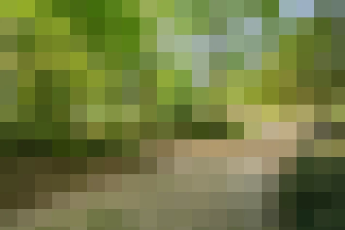Image 30