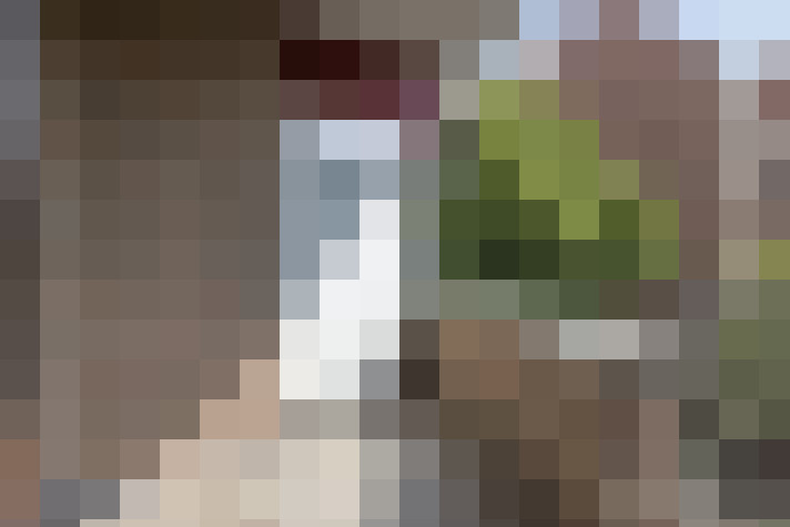 Image 20