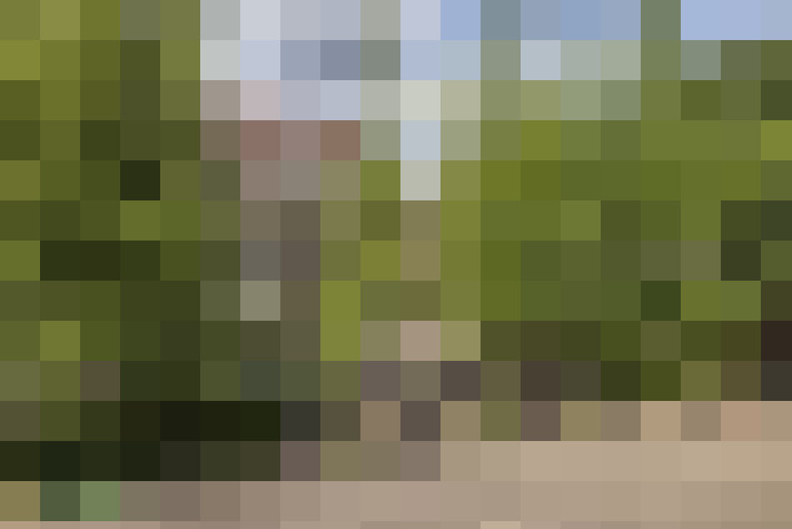 Image 26