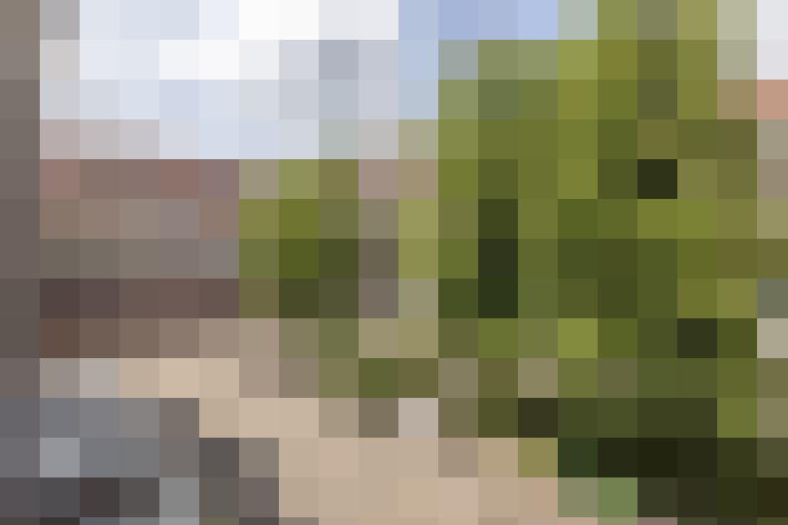 Image 27