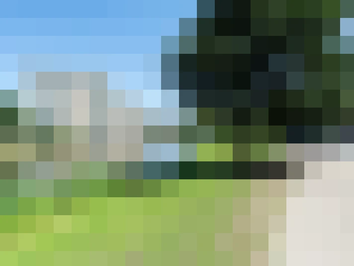 Image 35