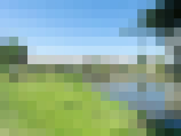 Image 31
