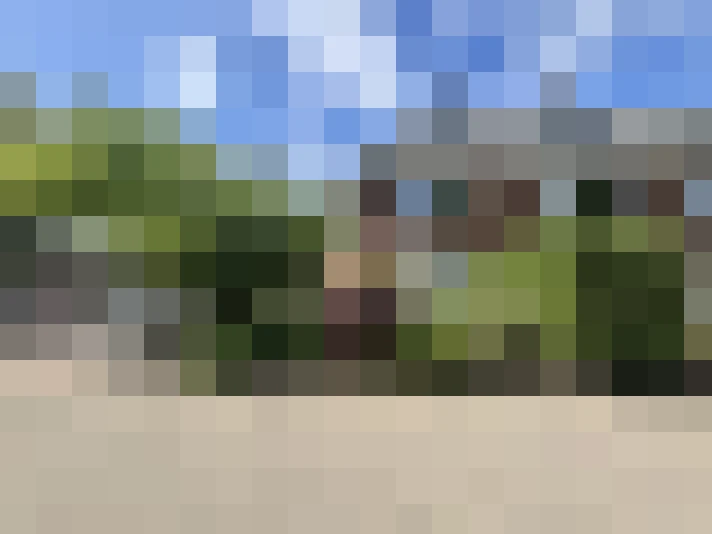 Image 44