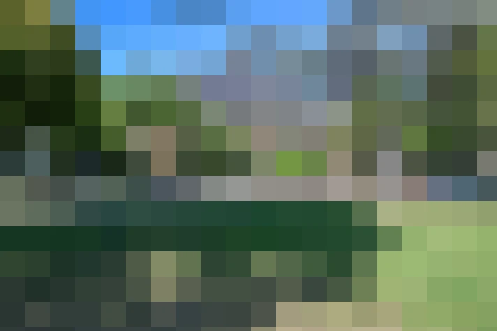 Image 49