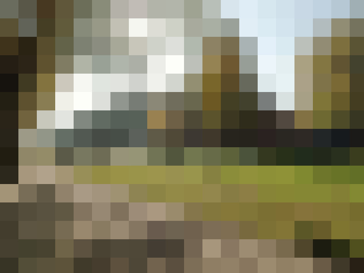 Image 17