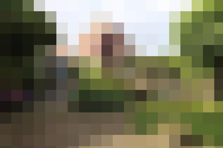 Image 22