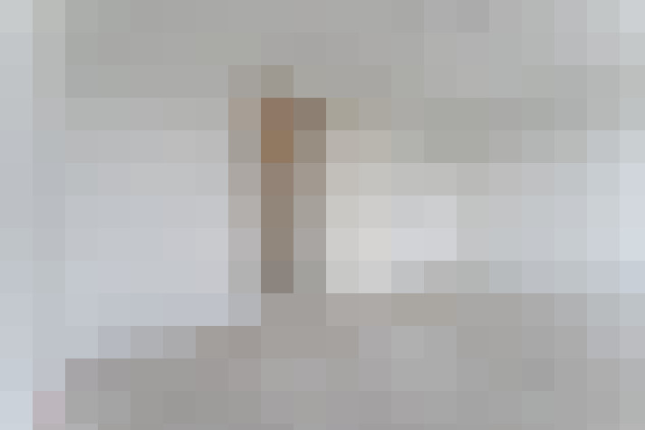  / #19