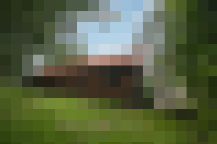 Image 25