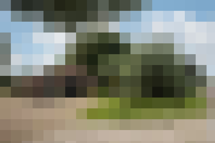 Image 26