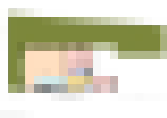 Image 29