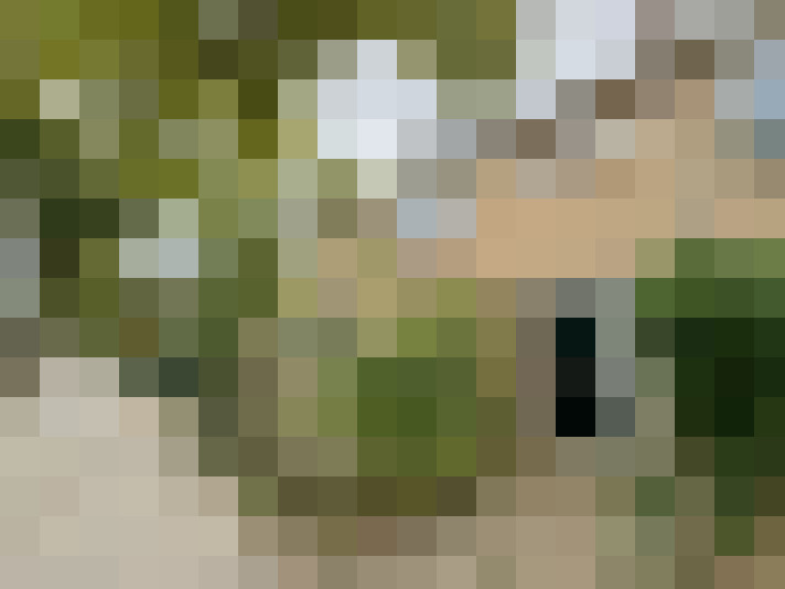 Image 31