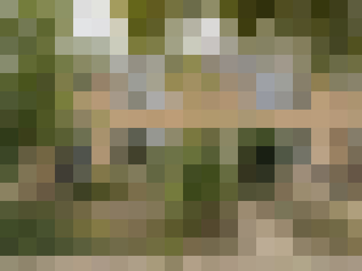 Image 32