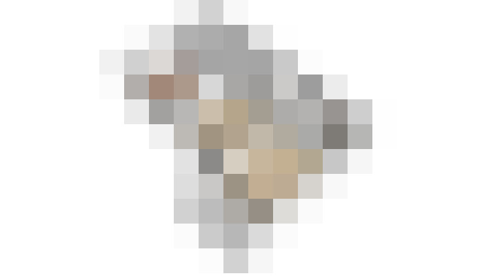 Image 64