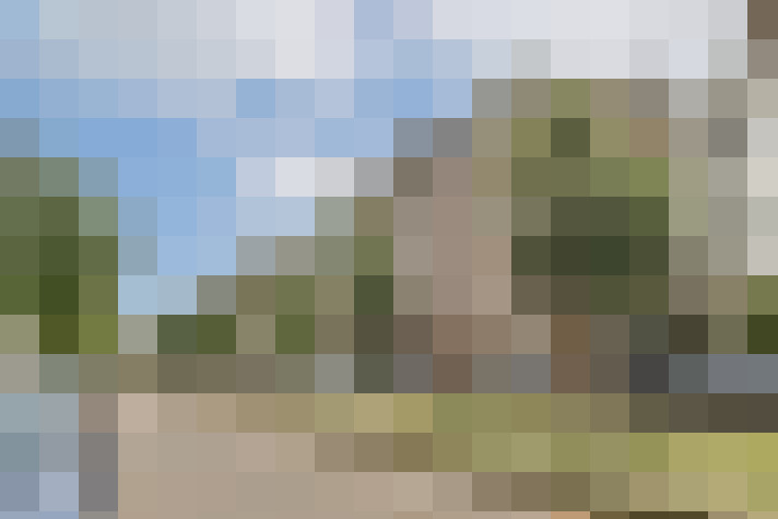 Image 22