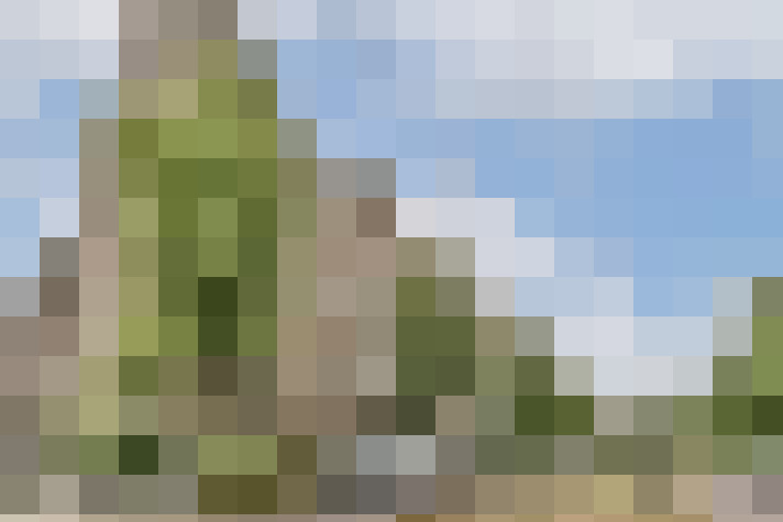 Image 24