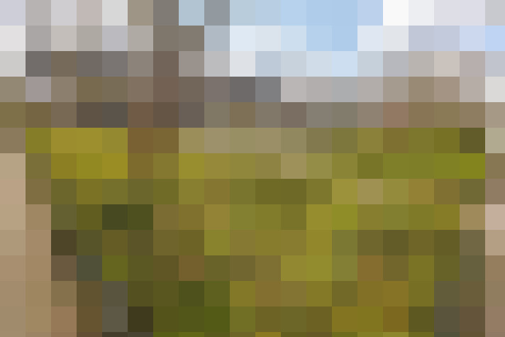 Image 40