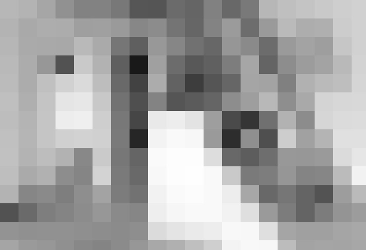  / #8