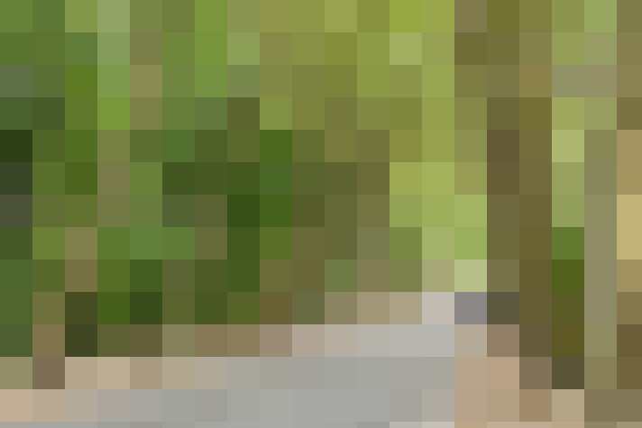 Image 31