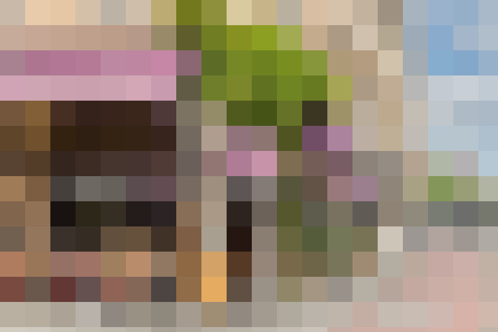 Image 30