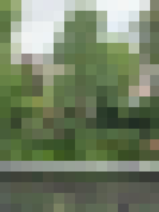 Image 23