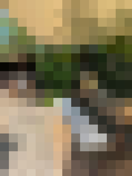 Image 23