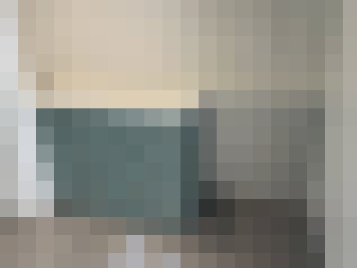 Image 100