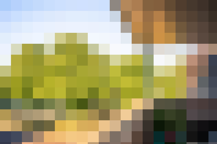 Image 22