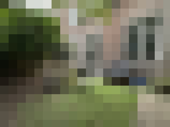 Image 13