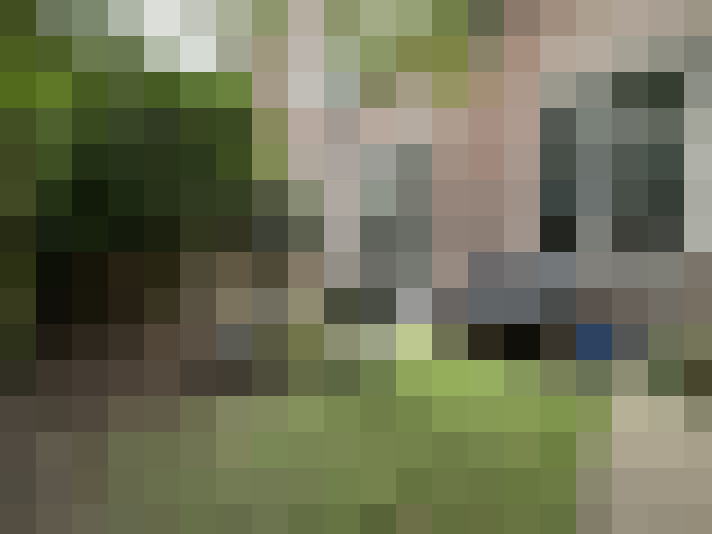 Image 14