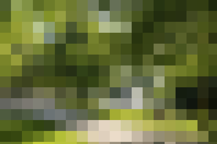 Image 42
