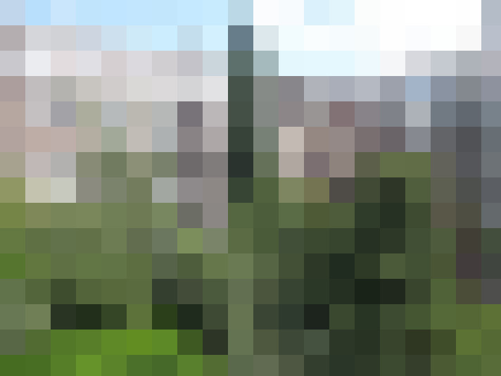 Image 35