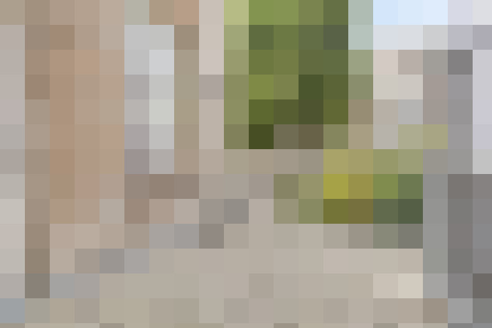 Image 34