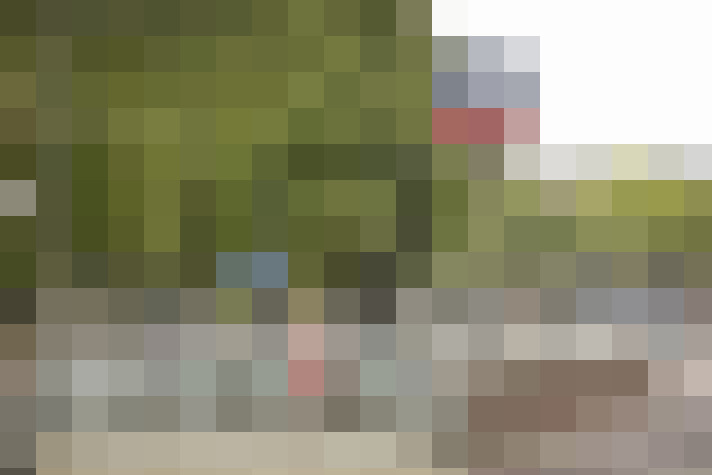 Image 37