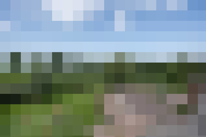 Image 31