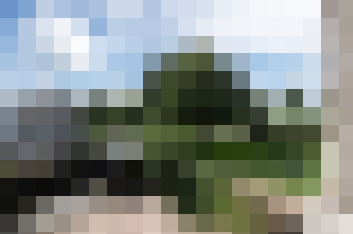 Image 23