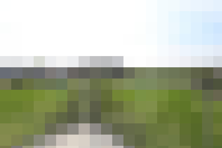 Image 20