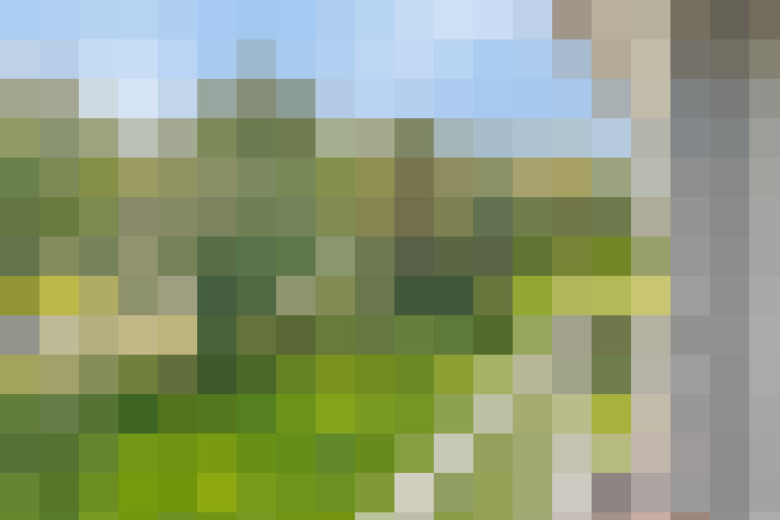 Image 20
