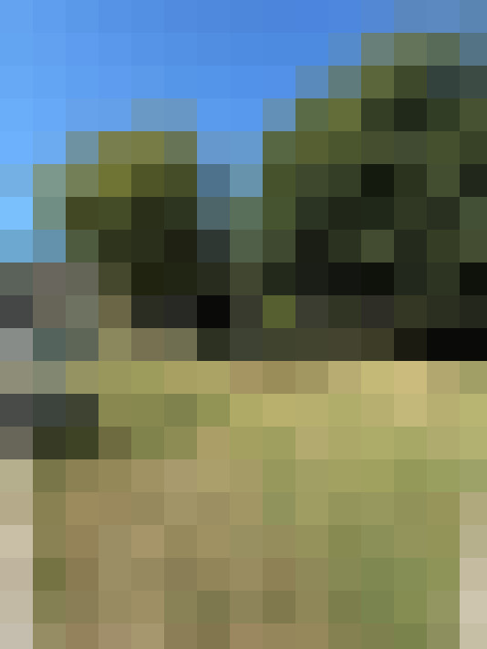 Image 29